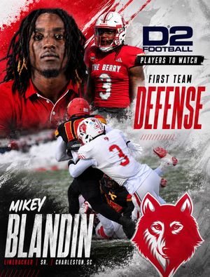 Image post by @newberrysports on Instagram