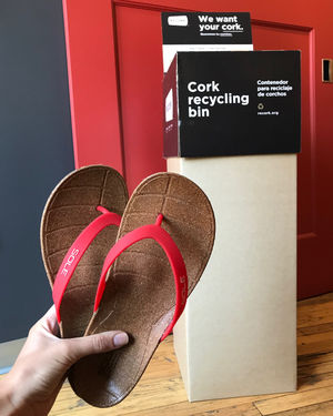 Image post by @screamagency on Instagram