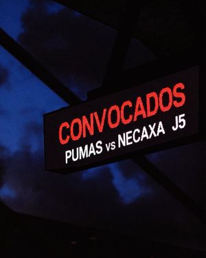 Image post by @clubnecaxa on Instagram