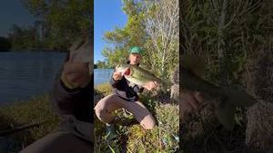 Video post by @daltonmauldin5 on YouTube