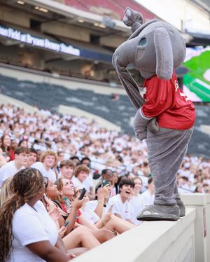 Image post by @univofalabama on Instagram
