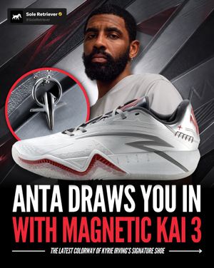 Image post by @soleretriever on Instagram