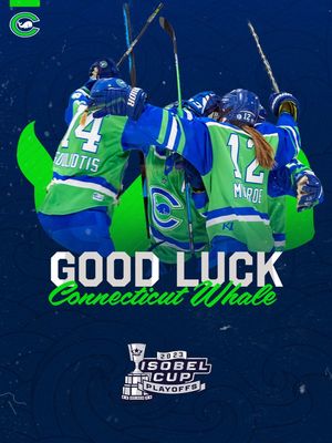 Image post by @GoYardGoats on Twitter