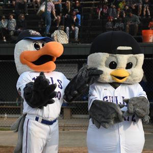 Image post by @newportgulls on Instagram