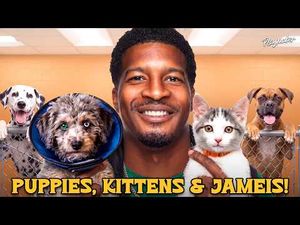 Video post by @wheresjameis on YouTube