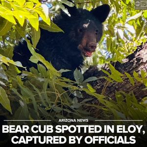 Image post by @abc15arizona on Instagram