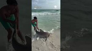 Video post by @accuweather on YouTube