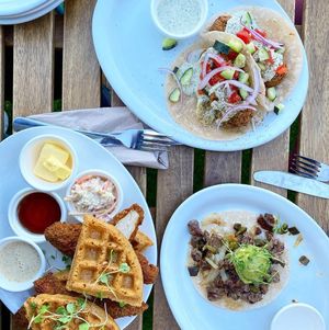 Image post by @eatcoyotas on Instagram