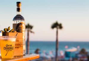 Image post by @JoseCuervo on Twitter