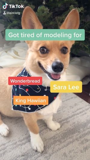 Image post by @aircorg on Instagram