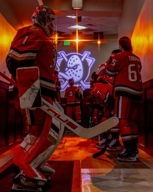 Image post by @anaheimducks on Instagram