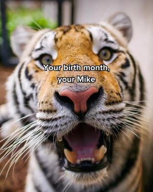 Image post by @lsu on Instagram