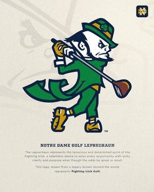 Image post by @thefightingirish on Instagram