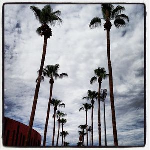 Image post by @arizonastateuniversity on Instagram