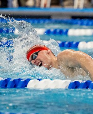 Image post by @utahswimdive on Instagram