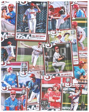 Image post by @UNMLoboBaseball on Twitter