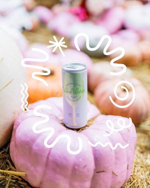 Image post by @sipwinewater on Instagram