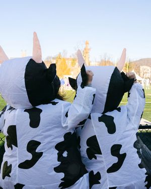 Image post by @williamscollege on Instagram