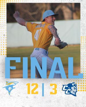 Image post by @liubaseball on Instagram