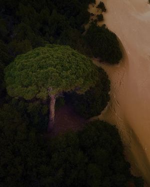 Image post by @droneartgallery on Instagram