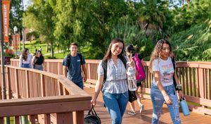 Image post by @utrgv on Instagram