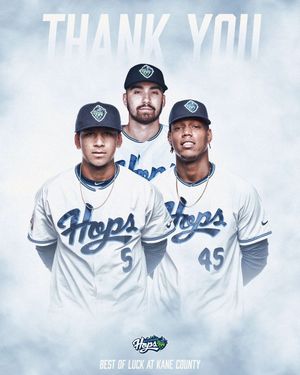 Image post by @hillsborohops on Instagram