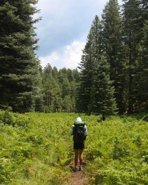 Image post by @picsbywinn on Instagram