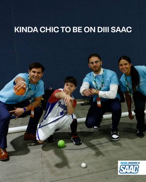 Image post by @d3saac on Twitter/X