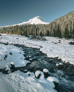 Image post by @shauns_shots on Instagram