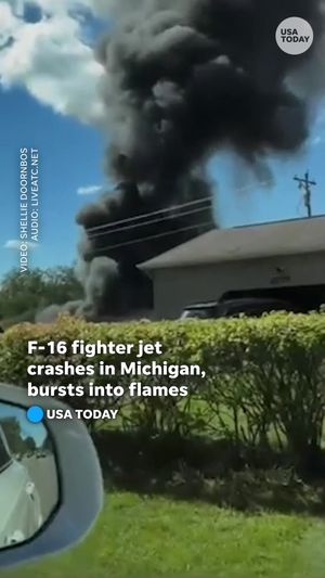 Video post by @usatoday on TikTok