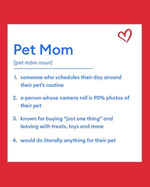 Image post by @petsmart on Instagram