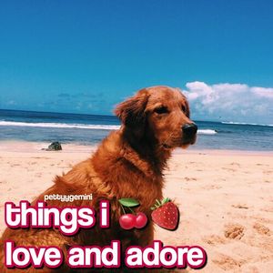 Image post by @scftcorgi on Instagram