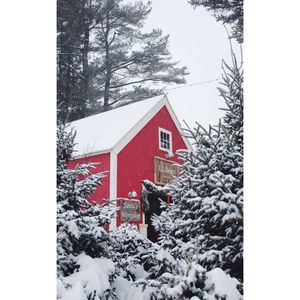 Image post by @themainemag on Instagram