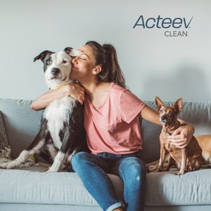 Image post by @acteevbyascend on Instagram