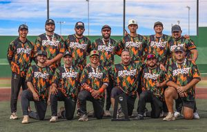 Image post by @usssaslowpitch on Instagram