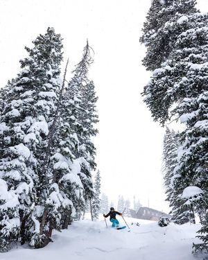 Image post by @skicrestedbutte on Instagram