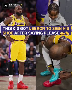 Image post by @soleretriever on Instagram