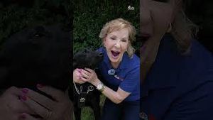 Video post by @nbcnewyork on YouTube