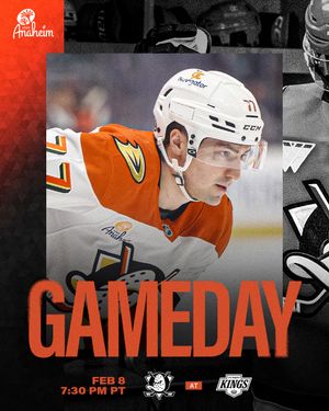 Image post by @anaheimducks on Instagram