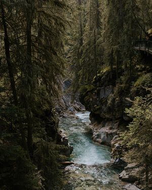 Image post by @rossvaughn_ on Instagram