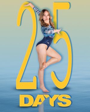 Image post by @liuwgymnastics on Instagram