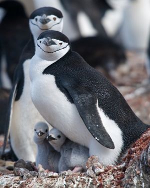 Image post by @oceana on Instagram