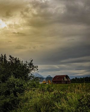 Image post by @lathanuelf_photos on Instagram