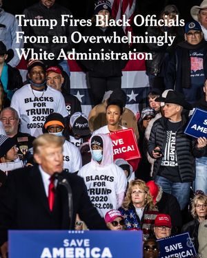 Video post by @nytimes on TikTok