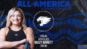 Image post by @UKSwimDive on Twitter