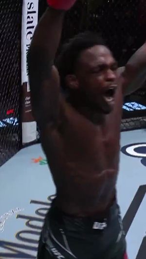 Video post by @ufc on TikTok