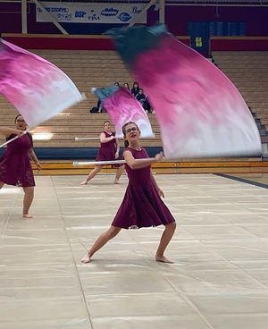 Image post by @wgisportofthearts on Instagram