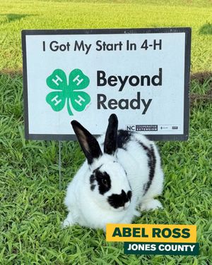 Image post by @northcarolina4h on Instagram