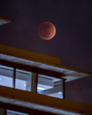 Image post by @ucsandiego on Instagram