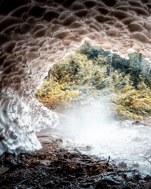 Image post by @cristan.nature.photography on Instagram